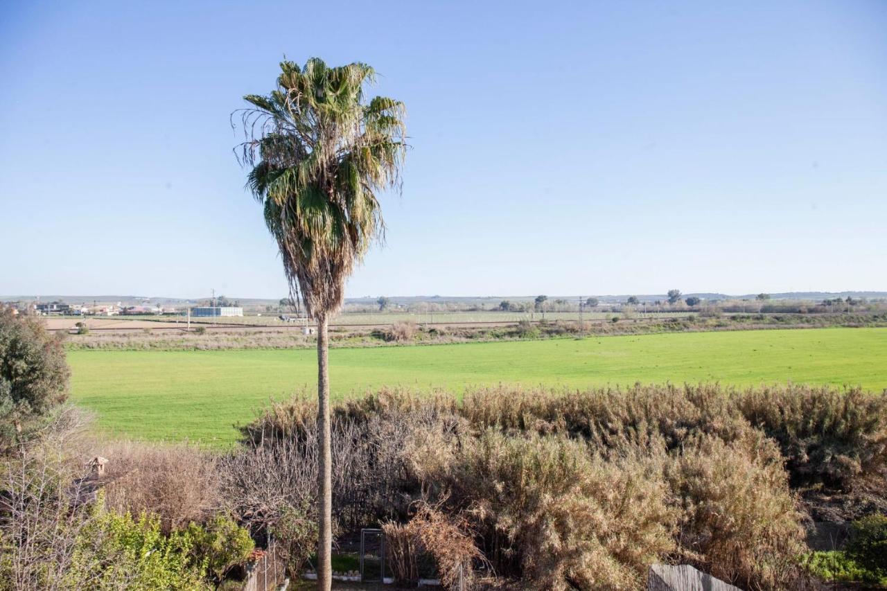 Casa Rural La Palmera Almodóvar del Río Dış mekan fotoğraf